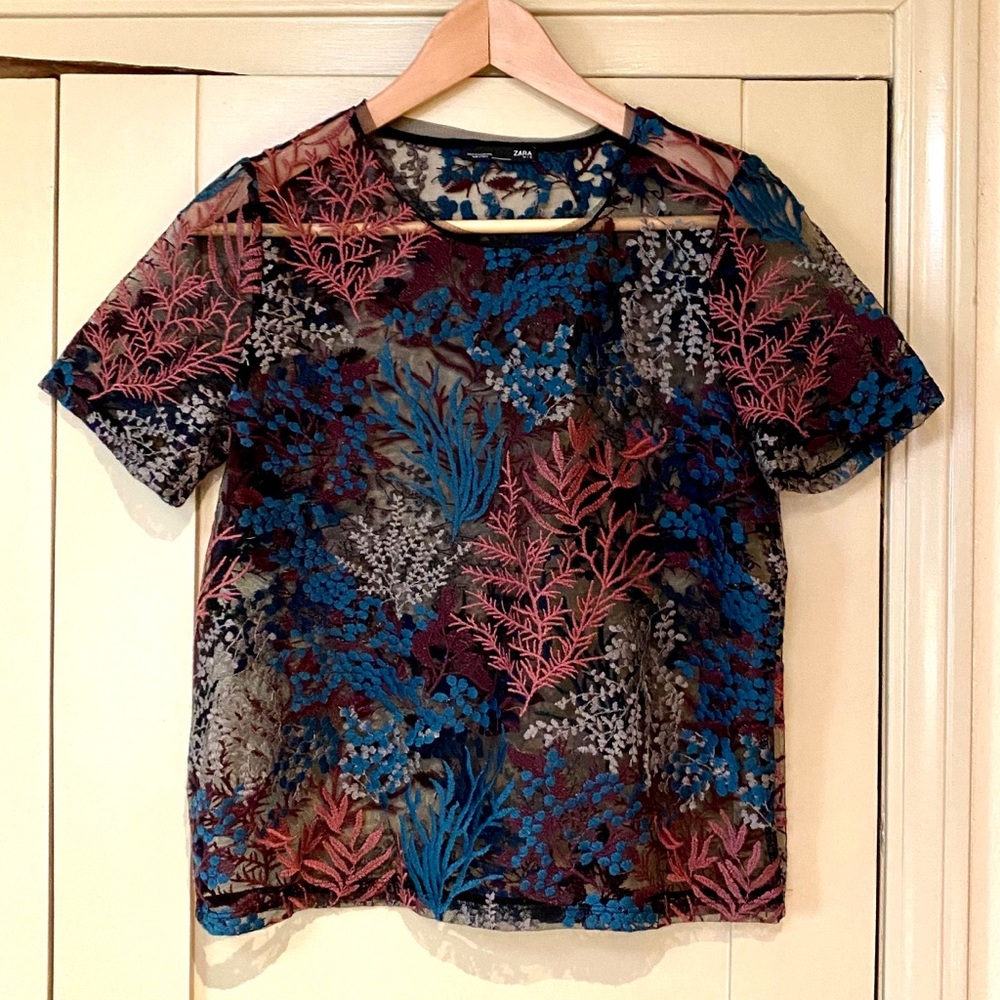 Mesh embroidered top